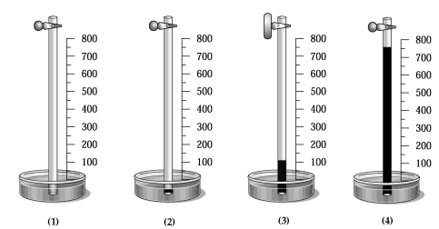 A glass tube has one end in a dish of mercury and the other end closed by a stopcock.The distance from the surface of the mercury to the bottom of the stopcock is 800 mm,as indicated by the meter stick shown in the drawing below.The apparatus is at 20°C,and the mercury level in the tube is the same as that in the dish.   -Which drawing best shows the approximate level of the mercury in the tube when a vacuum pump is connected to the top of the tube,the stopcock opened,the tube is evacuated,the stopcock is closed,and the pump is removed? A) drawing (1)  B) drawing (2)  C) drawing (3)  D) drawing (4) 