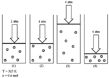 Assume that you have a sample of gas in a cylinder with a moveable piston,as shown in diagram (1) .The initial pressure,number of moles,and temperature of the gas are noted on the diagram.   -Which diagram (2) -(4) most closely represents the result of doubling the pressure and doubling the temperature while keeping the number of moles of gas constant? A) diagram (2)  B) diagram (3)  C) diagram (4) 