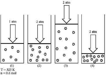 Assume that you have a sample of gas in a cylinder with a moveable piston,as shown in diagram (1) .The initial pressure,number of moles,and temperature of the gas are noted on the diagram.Which diagram (2) -(4) most closely represents the result of doubling the pressure and number of moles of gas while keeping the temperature constant?   A) diagram (2)  B) diagram (3)  C) diagram (4) 