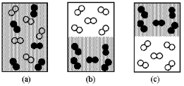 Assume that you have a mixture of nitrogen (molecular mass = 28 amu) ,represented by unshaded spheres,and chlorine (molecular mass = 71 amu) ,represented by shaded spheres at 300 K.Which of the drawings best represents the mixture?   A) drawing (a)  B) drawing (b)  C) drawing (c) 