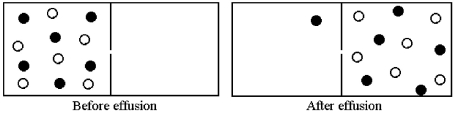 Effusion of a 1:1 mixture of two gases,represented by unshaded and shaded spheres in the diagram below,through a small pinhole produces the result shown below.The shaded spheres have a molecular mass of 20 amu.Which gas molecules have the higher average speed and what is the molecular mass of the unshaded molecules?   A) Unshaded molecules have higher average speed and molecular mass = 14 amu. B) Unshaded molecules have higher average speed and molecular mass = 17 amu. C) Unshaded molecules have lower average speed and molecular mass = 24 amu. D) Unshaded molecules have lower average speed and molecular mass = 29 amu.
