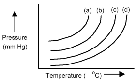 The plots below represent vapor pressure vs.temperature curves for diethyl ether,ethanol,mercury,and water,not necessarily in that order.   -Based on the relative strengths of the intermolecular forces of attraction of each substance,which is the most likely vapor pressure vs.temperature curve for diethyl ether? A) curve (a)  B) curve (b)  C) curve (c)  D) curve (d) 