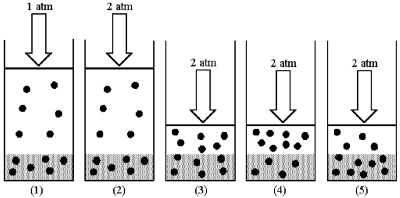 Drawing (1) shows a system in which an equilibrium exists between dissolved and undissolved gas particles at P = 1 atm.According to Henry's law,if the pressure is increased to 2 atm and equilibrium is restored,which drawing (2) -(5) best represents the equilibrium at 2 atm?   A) drawing (2)  B) drawing (3)  C) drawing (4)  D) drawing (5) 