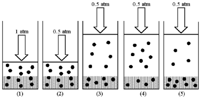 Drawing (1) shows a system in which an equilibrium exists between dissolved and undissolved gas particles at P = 1 atm.According to Henry's law,if the pressure is decreased to 0.5 atm and equilibrium is restored,which drawing (2) -(5) best represents the equilibrium at 0.5 atm?   A) drawing (2)  B) drawing (3)  C) drawing (4)  D) drawing (5) 