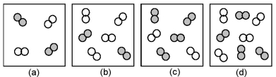 The relative initial rates of the reaction A<sub>2</sub> + B<sub>2</sub> → products in vessels (a) -(d) are 1:1:4:4.Unshaded spheres represent A<sub>2</sub> molecules,and shaded spheres represent B<sub>2</sub> molecules present at the beginning of the reaction.   -What is the rate law for this reaction? A) Rate = k[A<sub>2</sub>]<sup>2</sup> B) Rate = k[B<sub>2</sub>]<sup>2</sup> C) Rate = k[A<sub>2</sub>][B<sub>2</sub>] D) Rate = k[A<sub>2</sub>]<sup>2</sup>[B<sub>2</sub>]<sup>2</sup>