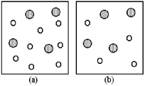 The following reaction is first order in A and first order in B: A + B → Products Rate = k[A][B] What is the initial rate of this reaction in vessel (b) relative to the initial rate of this reaction in vessel (a) ? Each vessel has the same volume.Shaded spheres represent A molecules,and unshaded spheres represent B molecules present at the beginning of the reaction.   A) rate in vessel (b) /rate in vessel (a) = 1:2 B) rate in vessel (b) /rate in vessel (a) = 1:1 C) rate in vessel (b) /rate in vessel (a) = 2:1 D) rate in vessel (b) /rate in vessel (a) = 4:1