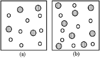 The following reaction is first order in A and first order in B: A + B → Products Rate = k[A][B] What is the initial rate of this reaction in vessel (b) relative to the initial rate of this reaction in vessel (a) ? Each vessel has the same volume.Shaded spheres represent A molecules,and unshaded spheres represent B molecules present at the beginning of the reaction.   A) rate in vessel (b) /rate in vessel (a) = 1:2 B) rate in vessel (b) /rate in vessel (a) = 1:1 C) rate in vessel (b) /rate in vessel (a) = 2:1 D) rate in vessel (b) /rate in vessel (a) = 4:1
