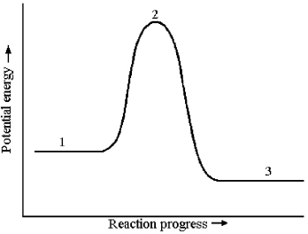Consider a reaction that occurs by the following one-step mechanism: A<sub>2</sub> + B<sub>2</sub> → 2 AB The potential energy profile for this reaction is shown below.   -What is the species present at reaction stage 3? A) an intermediate B) a product C) a reactant D) a transition state