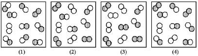 The reaction A<sub>2</sub> + B<sub>2</sub> ⇌ 2 AB has an equilibrium constant K<sub>c</sub> = 1.8.The following pictures represent reaction mixtures that contain A<sub>2</sub> molecules (shaded) and B<sub>2</sub> molecules (unshaded) ,and AB molecules.Which reaction mixture is at equilibrium?   A) reaction mixture (1)  B) reaction mixture (2)  C) reaction mixture (3)  D) reaction mixture (4) 