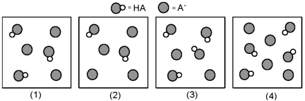The following pictures represent solutions that contain a weak acid HA (pK<sub>a</sub> = 5.0) and its potassium salt KA.Unshaded spheres represent H atoms and shaded spheres represent A<sup>-</sup> ions.(K<sup>+</sup>,H<sub>3</sub>O<sup>+</sup>,OH<sup>-</sup>,and solvent H<sub>2</sub>O molecules have been omitted for clarity. )    -For which of these solutions is pH = pK<sub>a</sub>? A) All have pH = pK<sub>a</sub>. B) (1) , (2) and (3)  C) (1) and (4)  D) (2) and (3) 