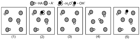 The following pictures represent solutions that contain a weak acid HA (pK<sub>a</sub> = 5.0) and its potassium salt KA.Unshaded spheres represent H atoms,black spheres represent oxygen atoms,and shaded spheres represent A<sup>-</sup> ions.(K<sup>+</sup>,H<sub>3</sub>O<sup>+ </sup>initially present,OH<sup>- </sup>initially present and solvent water molecules have been omitted for clarity. )    -Which picture represents the equilibrium state of the solution after addition of one OH<sup>-</sup> ion to the solution shown in picture (1) ? A) (2)  B) (3)  C) (4)  D) (5) 
