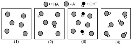 The following pictures represent solutions at various points in the titration of a weak acid HA with aqueous KOH.Unshaded spheres represent H atoms,black spheres represent oxygen atoms,and shaded spheres represent A<sup>-</sup> ions.(K<sup>+</sup>,H<sub>3</sub>O<sup>+</sup> initially present,OH<sup>-</sup> initially present and solvent water molecules have been omitted for clarity) .   -Which picture represents the solution at the equivalence point? A) (1)  B) (2)  C) (3)  D) (4) 