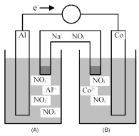 Consider the galvanic cell shown below.   -What is the shorthand notation for the cell? A) Al(s) | Al<sup>3+</sup>(aq) || Co(s) | Co<sup>2+</sup>(aq)  B) Al(s) | Al<sup>3+</sup>(aq) || Co<sup>2+</sup>(aq) | Co(s)  C) Co(s) | Co<sup>2+</sup>(aq) || Al(s) | Al<sup>3+</sup>(aq)  D) Co(s) | Co<sup>2+</sup>(aq) || Al<sup>3+</sup>(aq) | Al(s) 