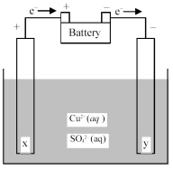   -Is the cell shown above a galvanic or an electrolytic cell? What is the direction of ion flow? A) Electrolytic cell;Cu<sup>2+</sup> ions flow toward electrode x and SO<sub>4</sub><sup>2-</sup> ions flow toward electrode y. B) Electrolytic cell;Cu<sup>2+</sup> ions flow toward electrode y and SO<sub>4</sub><sup>2-</sup> ions flow toward electrode x. C) Galvanic cell;Cu<sup>2+</sup> ions flow toward electrode x and SO<sub>4</sub><sup>2-</sup> ions flow toward electrode y. D) Galvanic cell;Cu<sup>2+</sup> ions flow toward electrode y and SO<sub>4</sub><sup>2-</sup> ions flow toward electrode x.