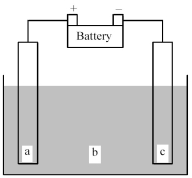 Shown below is an electrochemical cell with anode a and cathode c.Both the anode and the cathode are inert electrodes.The liquid shown in compartment b of the cell is molten potassium chloride,KCl(l) .   -Determine the direction of electron flow and the direction of ion flow. A) Electrons flow from a to c;K<sup>+</sup> ions flow toward a and Cl<sup>-</sup> ions flow toward c. B) Electrons flow from a to c;Cl<sup>-</sup> ions flow toward a and K<sup>+</sup> ions flow toward c. C) Electrons flow from c to a;K<sup>+</sup> ions flow toward a and Cl<sup>-</sup> ions flow toward c. D) Electrons flow from c to a;Cl<sup>-</sup> ions flow toward a and K<sup>+</sup> ions flow toward c.