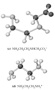     -Which of the above are bidentate or tridentate ligands,capable of forming chelate rings? A) (a) and (c)  B) (b) and (d)  C) (a) , (b) ,and (c)  D) (a) , (b) , (c) ,and (d) 