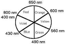   -Using the above schematic of an artist's color wheel,determine the color seen if a substance absorbs red and yellow light. A) blue B) green C) orange D) violet