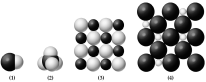 The following pictures represent binary hydrides,AH<sub>x</sub>,where A = Na,Ti,C,or Cl.Lightly-shaded spheres represent H atoms or ions and darkly-colored spheres represent atoms or ions of element A.   -Which hydride dissolves in water to form an acidic solution? A) hydride (1)  B) hydride (2)  C) hydride (3)  D) hydride (4) 
