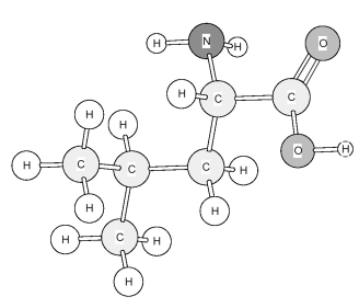 Identify the amino acid shown below.   A) Alanine (Ala)  B) Glycine (Gly)  C) Isoleucine (Ile)  D) Leucine (Leu) 