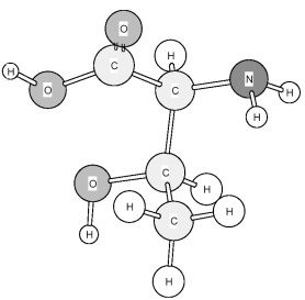 Identify the amino acid shown below.   A) Cysteine (Cys)  B) Serine (Ser)  C) Threonine (Thr)  D) Tyrosine (Tyr) 