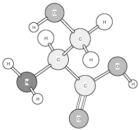 Identify the amino acid shown below.   A) Cysteine (Cys)  B) Serine (Ser)  C) Threonine (Thr)  D) Tyrosine (Tyr) 