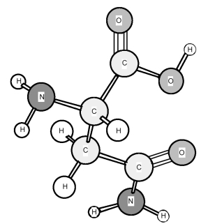 Identify the amino acid shown below.   A) Asparagine (Asn)  B) Aspartic acid (Asp)  C) Glutamic acid (Glu)  D) Glutamine (Gln) 