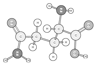 Identify the amino acid shown below.   A) Asparagine (Asn)  B) Aspartic acid (Asp)  C) Glutamic acid (Glu)  D) Glutamine (Gln) 