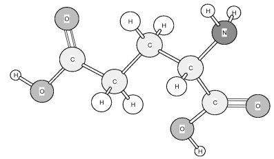 Identify the amino acid shown below.   A) Asparagine (Asn)  B) Aspartic acid (Asp)  C) Glutamic acid (Glu)  D) Glutamine (Gln) 