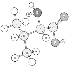 Identify the amino acid shown below.   A) Arganine (Arg)  B) Histidine (His)  C) Lysine (Lys)  D) Valine (Val) 
