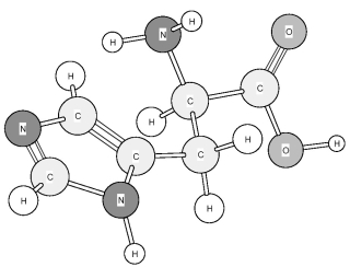 Identify the amino acid shown below.   A) Arganine (Arg)  B) Histidine (His)  C) Lysine (Lys)  D) Valine (Val) 