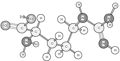 Identify the amino acid shown below.   A) Arganine (Arg)  B) Histidine (His)  C) Lysine (Lys)  D) Valine (Val) 