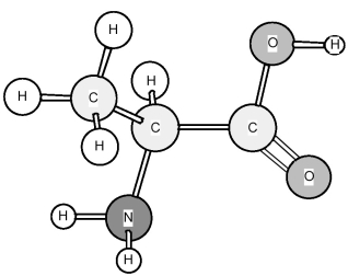 Based on the structure of its side chains,the amino acid shown below can be classified as   A) acidic. B) basic. C) neutral,non-polar. D) neutral,polar.