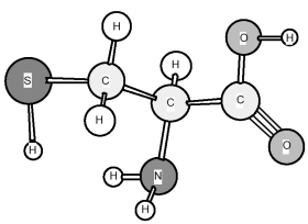 Based on the structure of its side chains,the amino acid shown below can be classified as   A) acidic. B) basic. C) neutral,non-polar. D) neutral,polar.