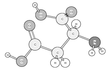 Based on the structure of its side chains,the amino acid shown below can be classified as   A) acidic. B) basic. C) neutral,non-polar. D) neutral,polar.