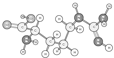 Based on the structure of its side chains,the amino acid shown below can be classified as A) acidic. B) basic. C) neutral,non-polar. D) neutral,polar.