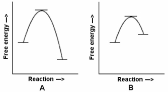   -For a chemical reaction to occur,all of the following must happen except A) chemical bonds in the reactants must break. B) reactant particles must collide with enough energy for change to occur. C) reactant particles must collide with the correct orientation. D) a large enough number of collisions must occur. E) chemical bonds in the products must form.