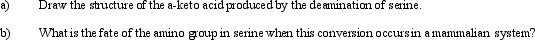Consider the deamination of serine to answer the following questions.  <div style=padding-top: 35px> 