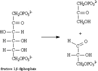 Instructions: Consider the reaction below to answer the following questions:   Refer to instructions. Draw arrows on the structure below showing electron flow in this reaction.  