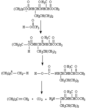 BOC protecting groups are generally removed by treatment with trifluoroacetic acid.   On the structures provided below, draw arrows consistent with electron flow in the mechanism of this reaction.  