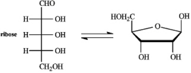 Instructions: Refer to the equilibrium below to answer the following question(s).   Refer to instructions. Classify ribose by carbonyl type and number of carbons.