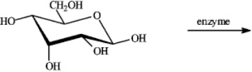If the following compound undergoes oxidation in the presence of the appropriate enzyme, draw the structure of the likely product.  