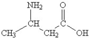 Which of the following molecules contains both a carbonxylic acid group and an amine group? A)    B)    C)    D)    E)   