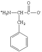 Which of the following is the structure for the amino acid with the abbreviation of Phe? A)    B)    C)    D)    E)   