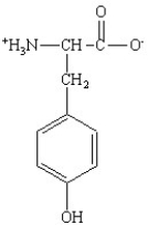 Which of the following is the structure for the amino acid with the abbreviation of Phe? A)    B)    C)    D)    E)   