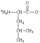 Which of the following is the structure for the amino acid with the abbreviation of Phe? A)    B)    C)    D)    E)   