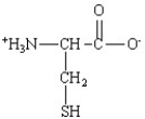 Which of the following is the structure for the amino acid with the abbreviation of Phe? A)    B)    C)    D)    E)   
