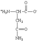 Which of the following is the structure for the amino acid with the abbreviation of Phe? A)    B)    C)    D)    E)   