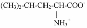    This question has four parts:  A) For the amino acid shown above in zwitterion form,circle the carboxyl group,underline the amine group,label the alpha carbon,and draw a box around the R group. B) Write the name and abbreviation of your amino acid. C) Classify the amino acid as polar,non-polar,acidic,or basic.Explain the basis for your classification. D)Draw the structure of the amino acid at a pH well below its isoelectric point and well above its isoelectric point.