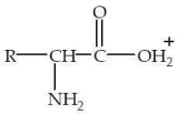 Which structure represents a zwitterion? A)    B)    C)    D)    E)   