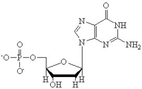 A)Identify if the following structure is a nucleotide or a nucleoside. B)What is the name of this molecule? C)Label the components.   